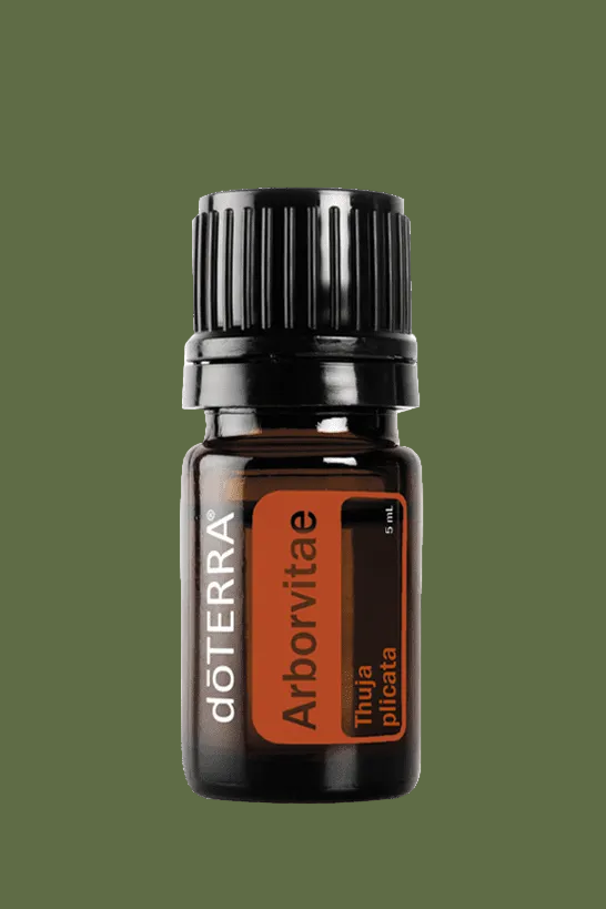 Óleo Essencial de Arborvitae 5ml