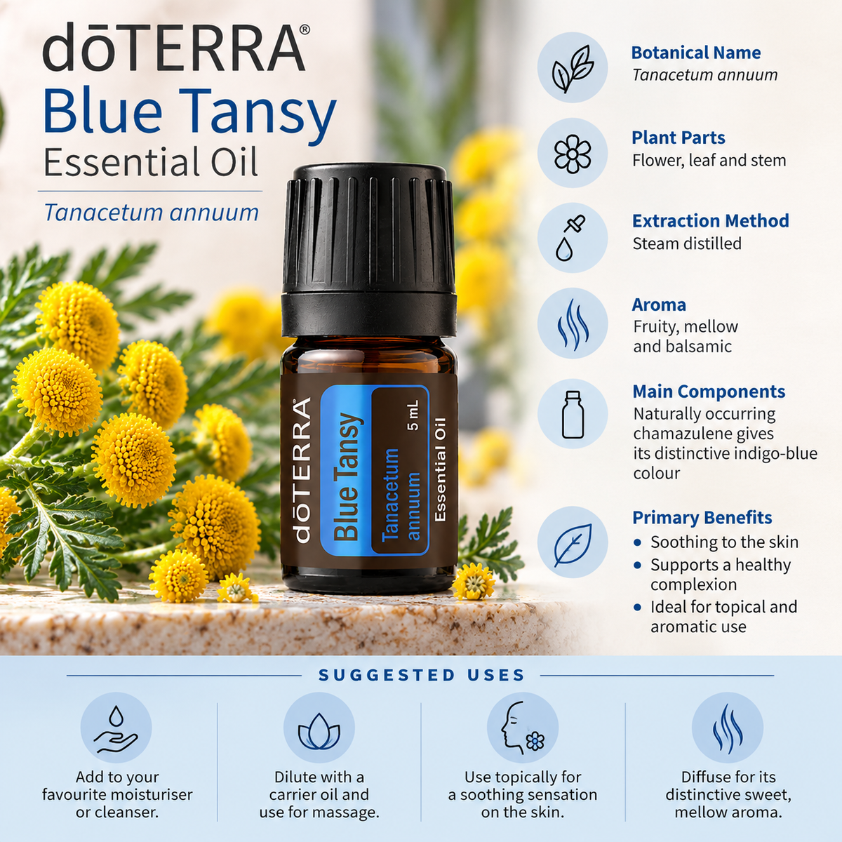 doTERRA Blue Tansy Essential Oil 5ml product information and suggested uses