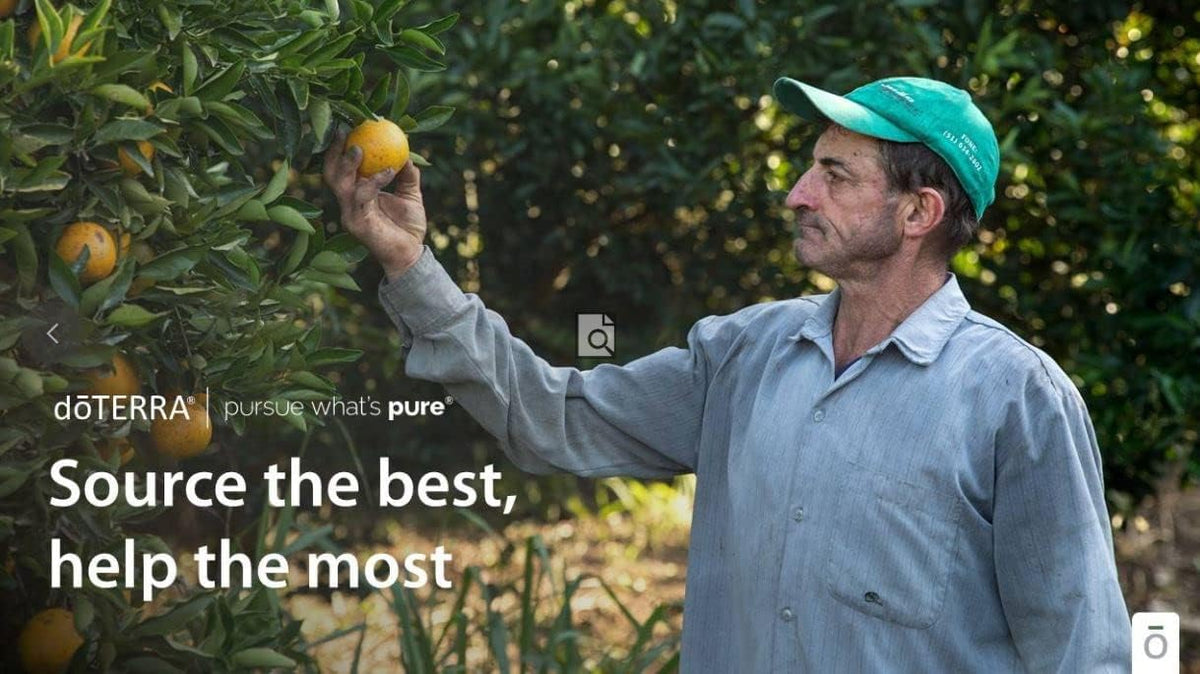 doTERRA Wild Orange essential oil sourcing image