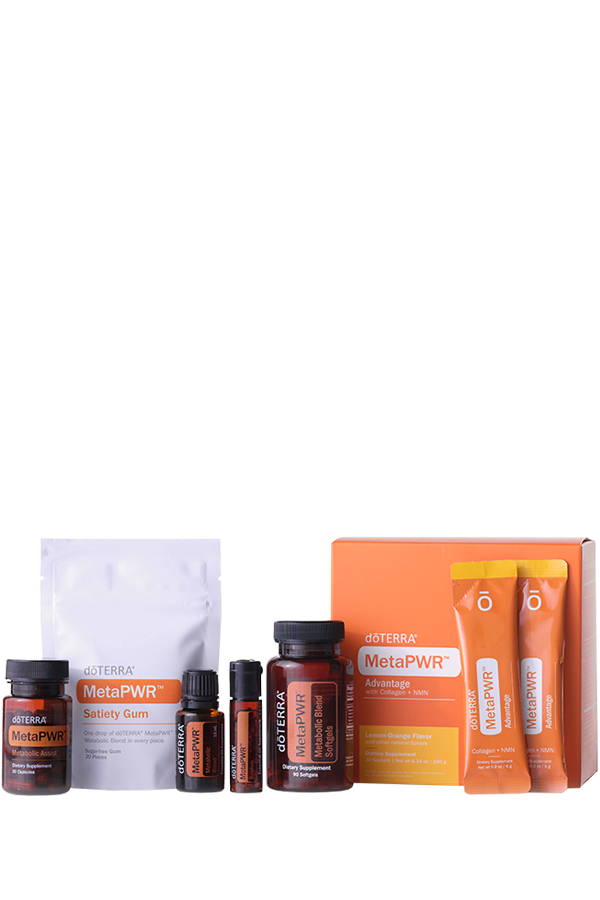 Sistema de arranque MetaPWR