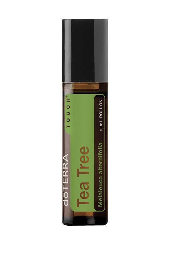 Óleo de toque de árvore de chá 10ml