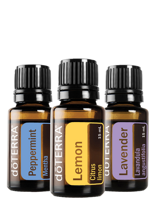 Beginner's Trio Kit