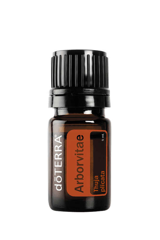 Óleo Essencial de Arborvitae 5ml