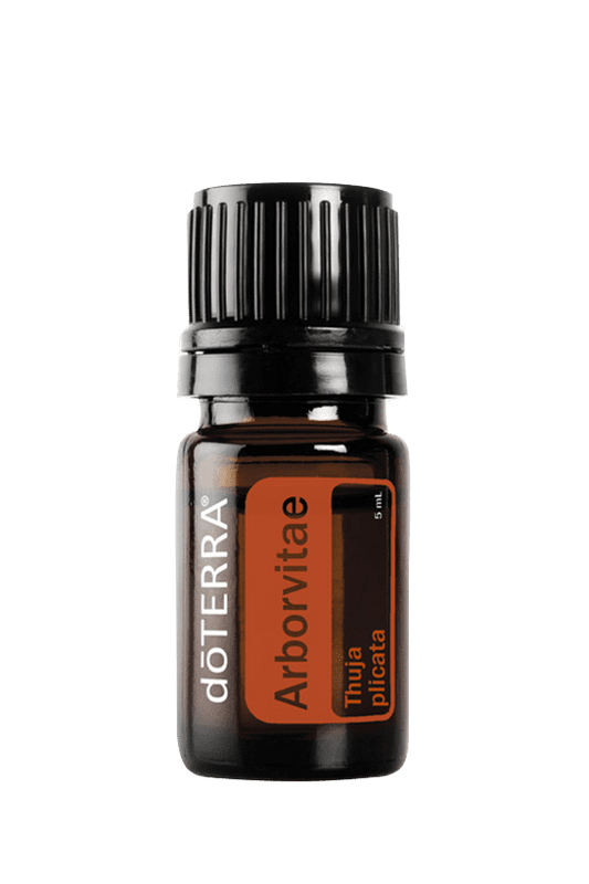 Óleo Essencial de Arborvitae 5ml