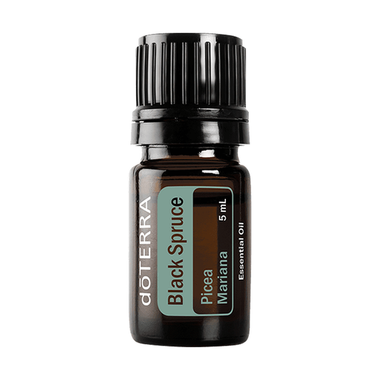 Black Spruce Oil 5ml - genuine doTERRA product image