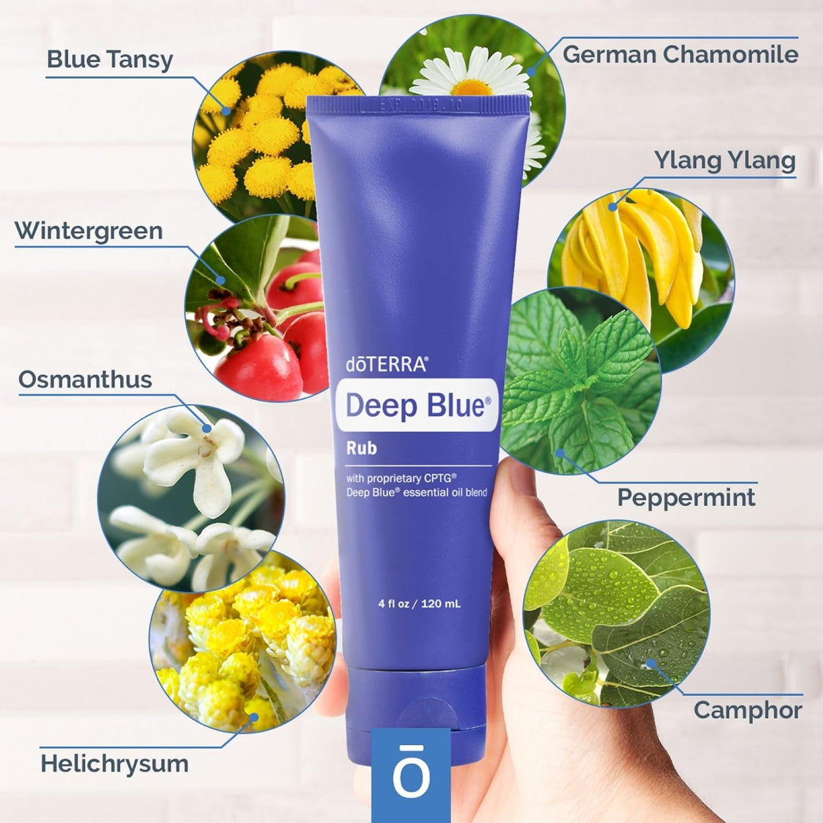 doTERRA Deep Blue Rub 120 mL cooling topical rub