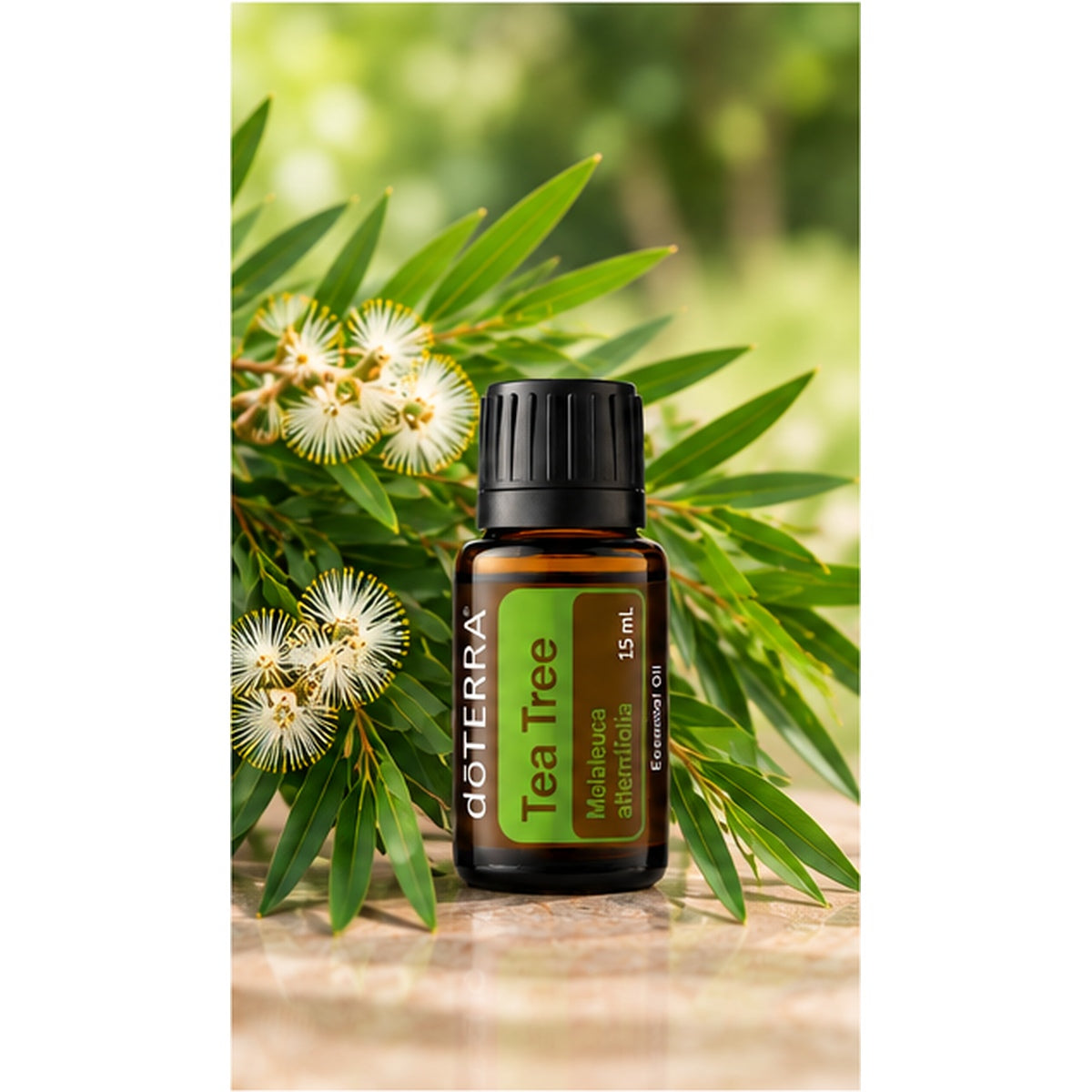 doTERRA Tea Tree Essential Oil 15ml with tea tree leaves
