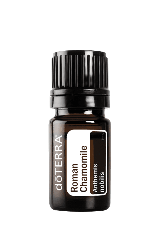 Roman Chamomile Oil 5ml