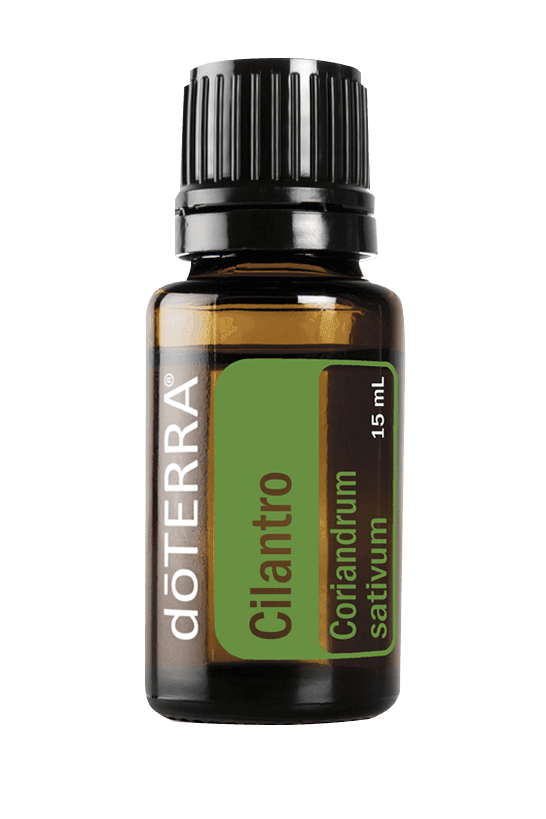 Cilantro Oil 15ml