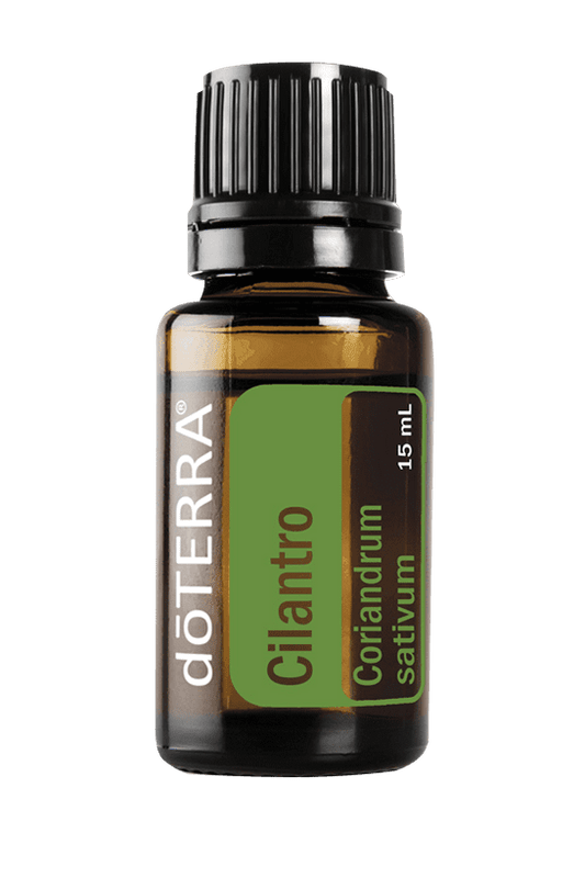 Cilantro Oil 15ml