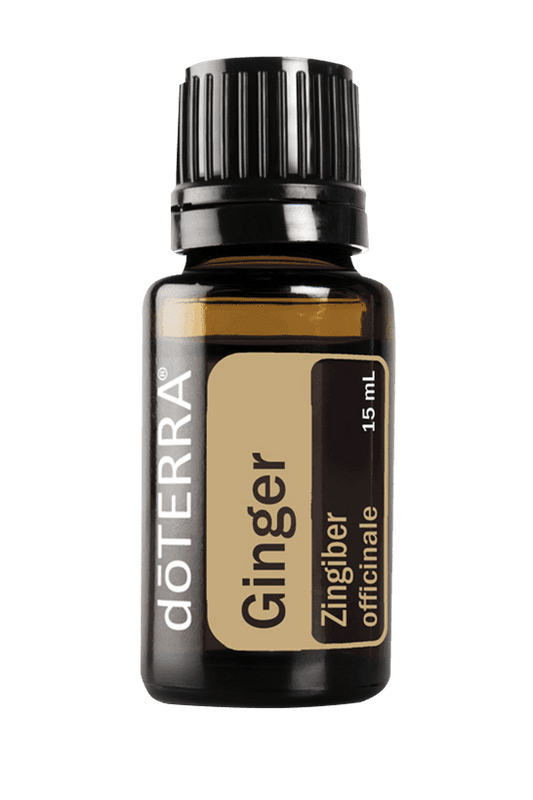 Ginger Oil 15ml