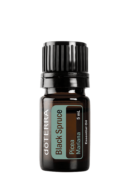 Black Spruce Oil 5ml