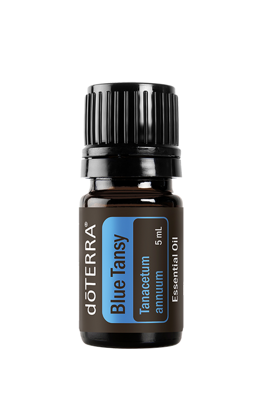 Blue Tansy Oil 5ml