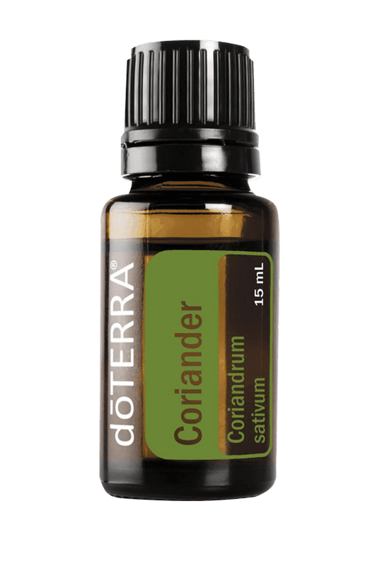 Coriander Oil 15ml