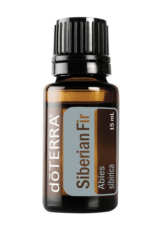 Siberian Fir 15ml